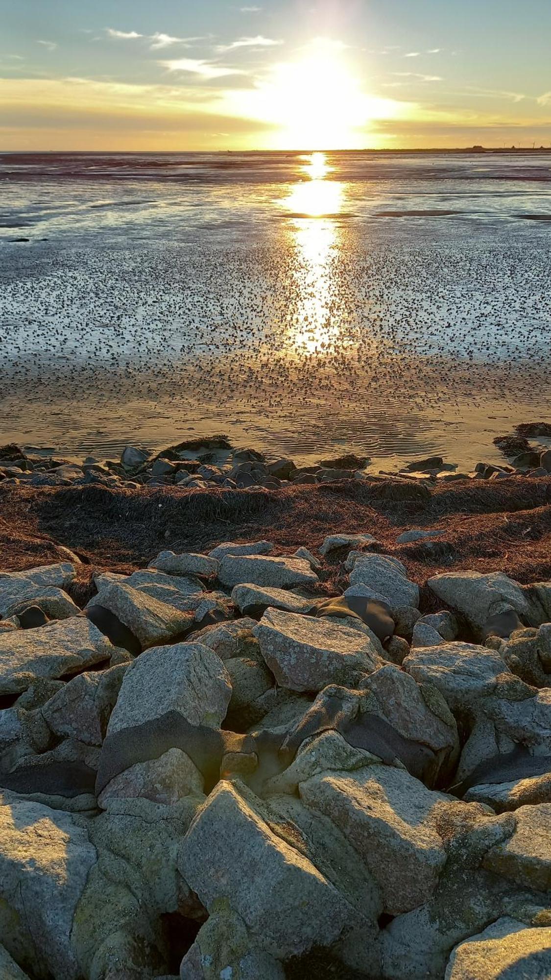 Apartmán Luettje Koje Breklum Exteriér fotografie